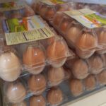 chicken egg cartons