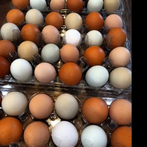 colorful Chicken eggs