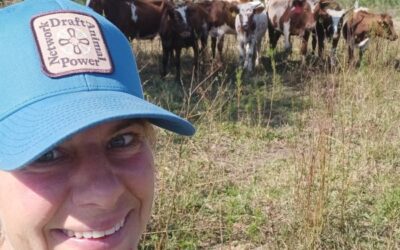 Healing Homestead Recap The Second Half 2024